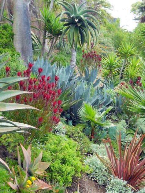 82 Arid Landscape ideas in 2021 | garden design, landscape design, landscape