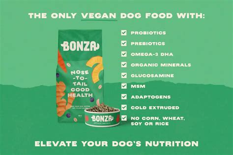 Best Probiotic Vegan Dog Food - Discover Why - Bonza