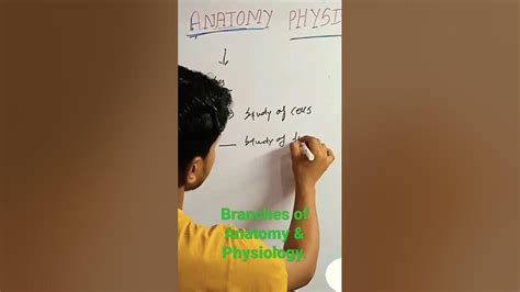 #Branches of Anatomy & Physiology #Full video @NURSINGWALLAHACADEMY ...