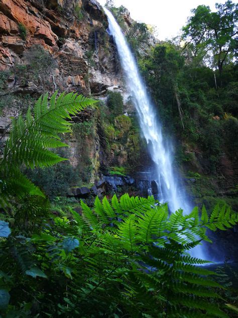 7 Mpumalanga Waterfalls ideas | mpumalanga, waterfall, lisbon falls