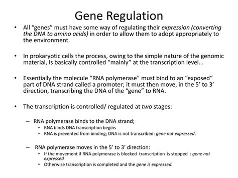 PPT - Prokaryotic Gene Regulation: PowerPoint Presentation, free download - ID:2484992