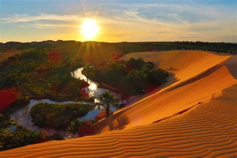 New platform gathers data on Brazil’s disappearing Cerrado biome