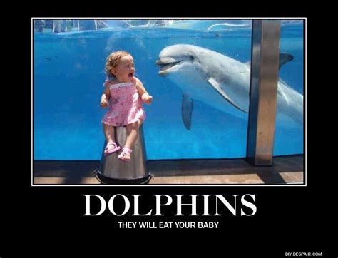 Pin by Carouge CH on Random | Funny dolphin, Funny animals, Cute animals