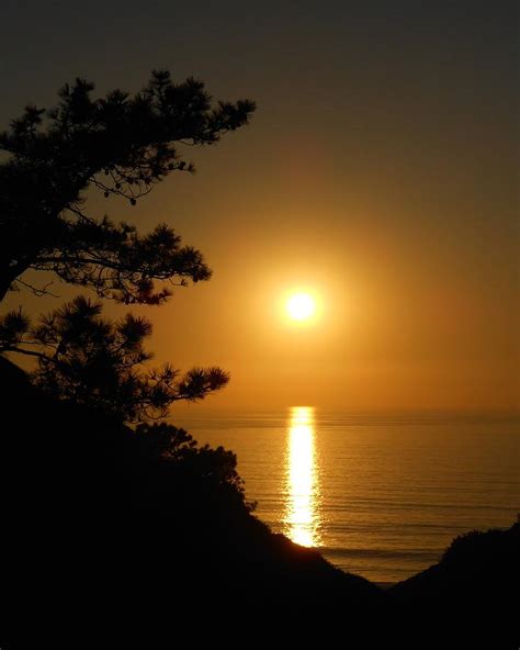 Torrey Pines Sunset Photograph by David Lobos - Fine Art America