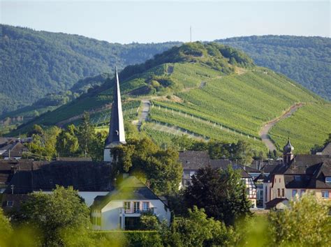 Mülheimer Panoramaweg (Mosel) | GPS Wanderatlas