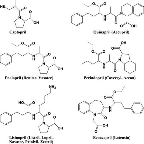 Enzymes Structure Of An Enzyme And Their Use Chemistry