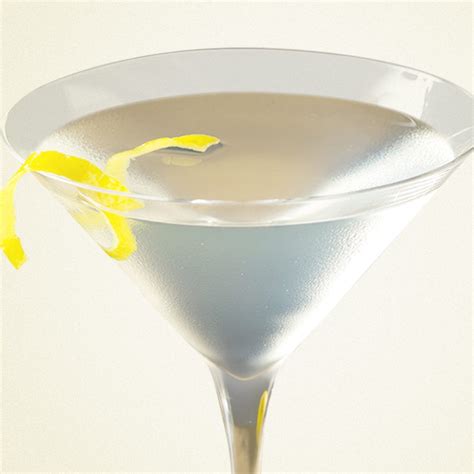 Best Vodka Martini Drink Recipe – How to Make Vodka Martini Cocktail