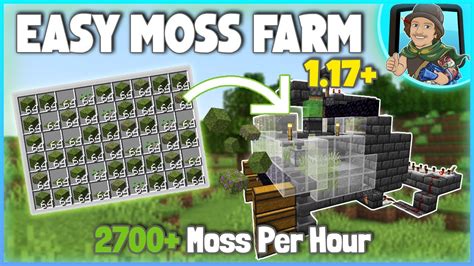 Minecraft EASY Moss Farm Tutorial! 1.17+ (2700+ Moss Per Hour) - YouTube