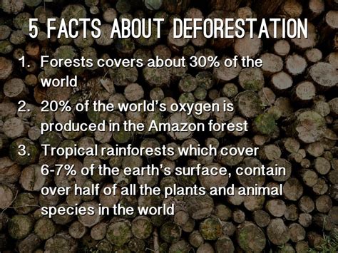 Deforestation by Aleiah Teal [STUDENT]