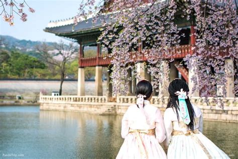 The Ultimate South Korea Travel Guide - Places To See In Your Lifetime