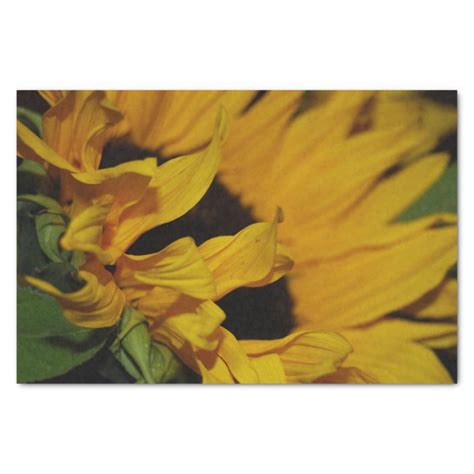 Sunflower Wrapping Paper | Zazzle.com