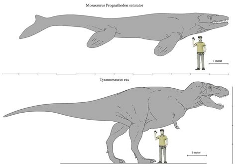 Mosasaurus Size Comparison