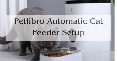 Petlibro Automatic Cat Feeder Setup - Expert Best Answer