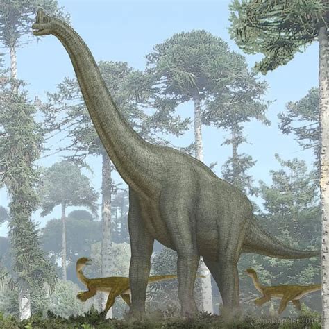 Giraffatitan | Dinosaurs - Pictures and Facts