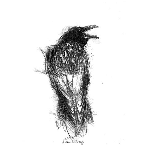 Carrion crow sketch | SeanBriggs | Crows drawing, Fine art drawing ...