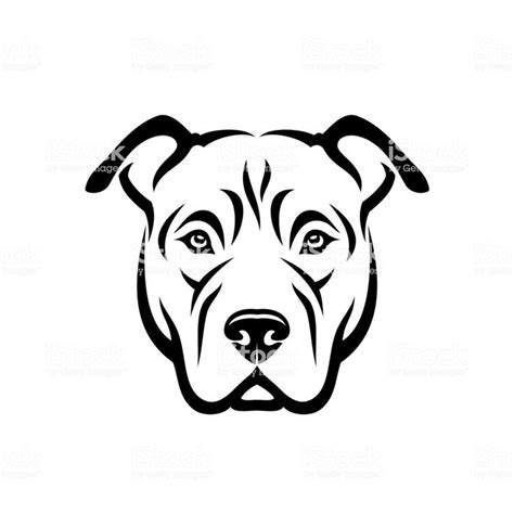 Face Pitbull Dog Drawing