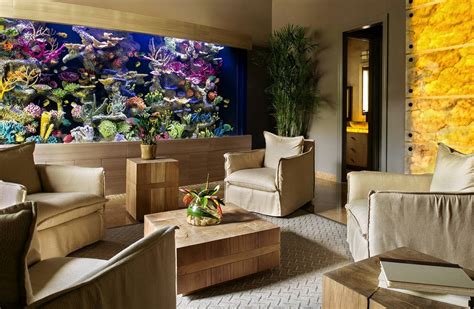 The $1 Million Aquarium: Customized Fish Tanks as Home Decor - WSJ