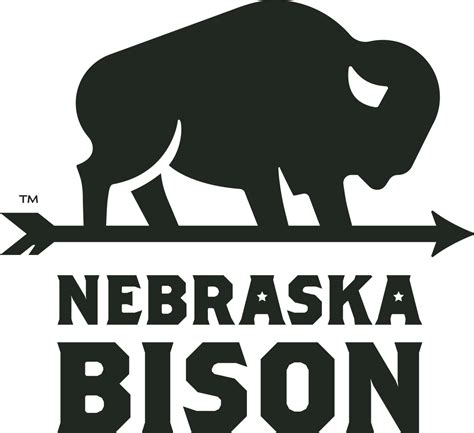 Shop Bison Meat | Bison Burgers, Steaks & More – Buy Online Now ...