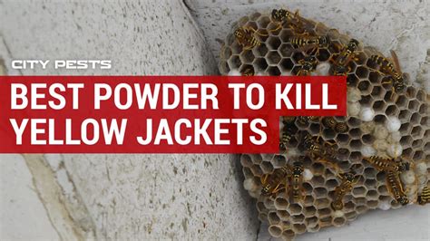 What is the best insecticide dust to kill yellow jackets and nests?