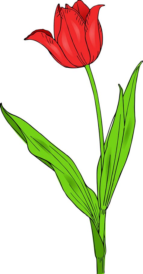 Free Spring Flowers Clipart, Download Free Spring Flowers Clipart png ...