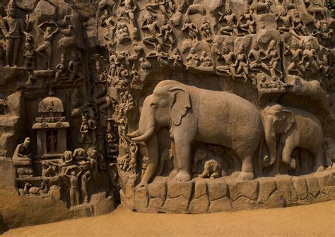 Carvings Of Elephants On Carved Wall Called Arjuna's Penance ...