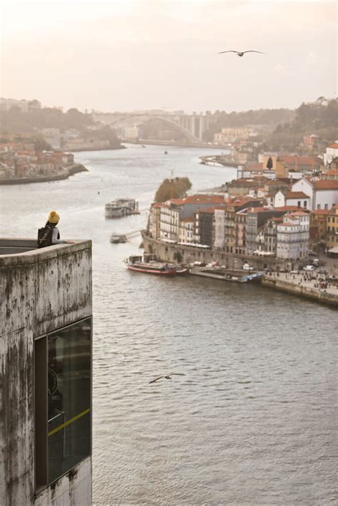 What You Need To Know Before Your First Douro River Cruise