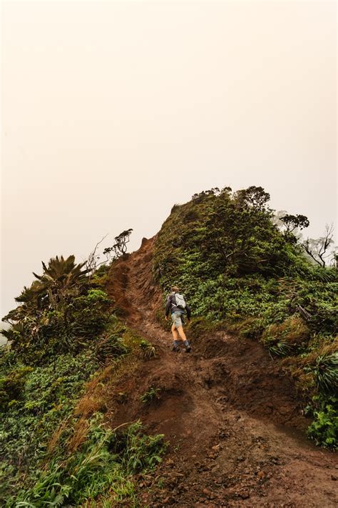 Moanalua Valley Trail: "Legal" Way To Stairway to Heaven Hike