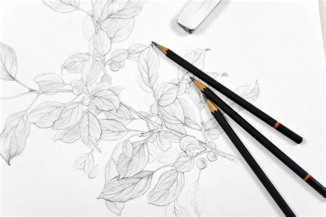 Learning to Draw Graphite Pencil | Here's What You Need to Know