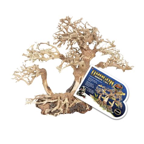 Dragon Bonsai Tree | Zoo Med Laboratories, Inc.