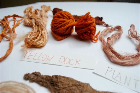 dyeing with yellow dock - information on using green seeds