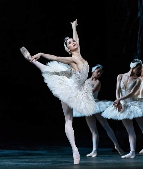 In Royal Ballet’s New ‘Swan Lake,’ It’s the Hero’s Tragedy - The New ...