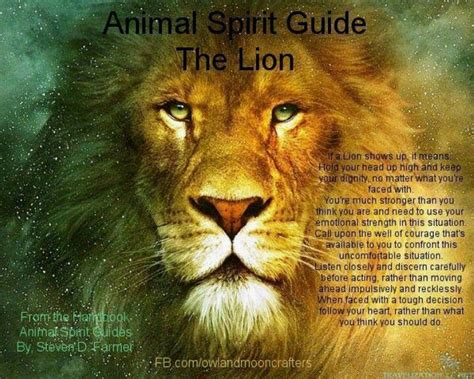 The Lion | Animal spirit guides, Animal spirit guide, Spirit guides