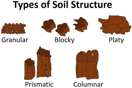 Soil Structure and Texture - Definition, Types and Importance - Biology ...