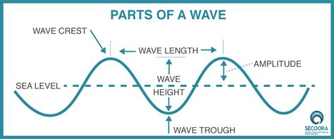 The Lowest Point of a Transverse Wave - LexiekruwReed