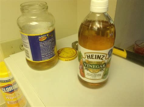 Gnat Trap Diy Apple Cider Vinegar - Gohomemade