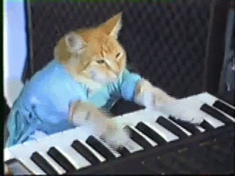 I'm making a keyboard cat meme but with a crk character | Fandom