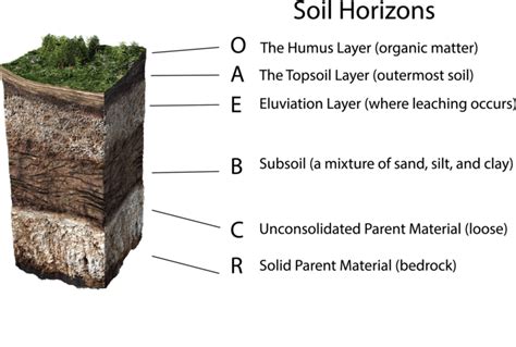 The Significance of Soil: Part II - BlueSky Organics™