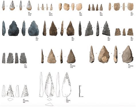 Advanced 77,000-year-old Stone Age weapons found in South Africa