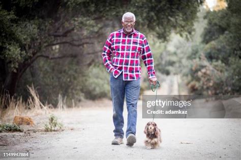 737 Black Man Walking Dog Stock Photos, High-Res Pictures, and Images ...