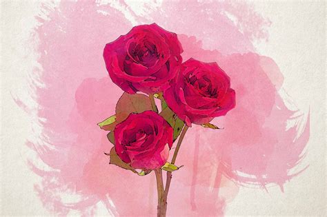 25+ Watercolor Roses to Inspire your Artistry - KnockOffDecor.com