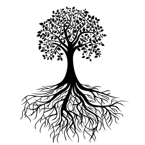 Tree Roots Drawing - ClipArt Best