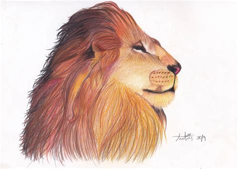 Lion King by HaruhanaHibana on DeviantArt