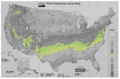 Growing Zones Map By Zip Code | Fasci Garden