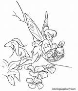 Tinkerbell Coloring Pages  For Kids And Adults sketch template