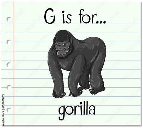 Flashcard letter G is for gorilla Stock Vector | Adobe Stock