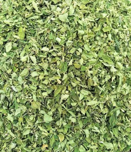 Green Moringo Leaves, Packaging Type: PP Bag, Packaging Size: 25 at Rs 90/kg in Patan