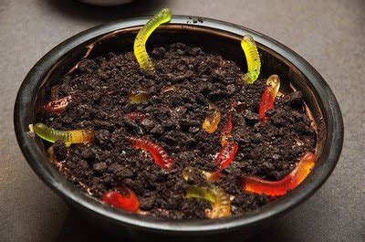 Recipes Most Wanted: Worms in the Dirt