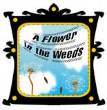 A Flower in the Weeds: Save the Cursive! And other thoughts and tips on handwriting...