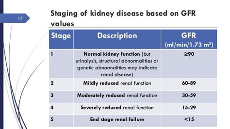 Renal function test