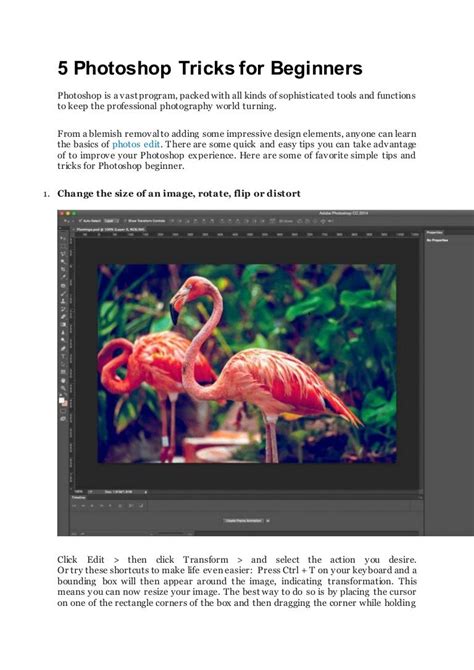 5 photoshop tricks for beginners